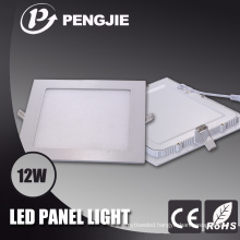 12W White LED Light with CE RoHS (OJ4029)